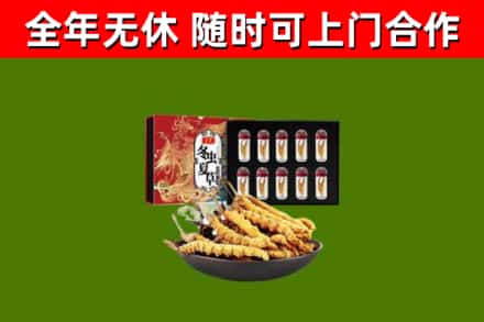 米林县回收冬虫夏草价格
